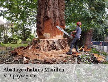 Abattage d'arbres  74440