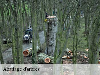 Abattage d'arbres