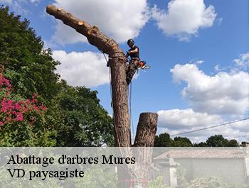 Abattage d'arbres