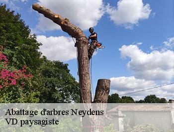 Abattage d'arbres