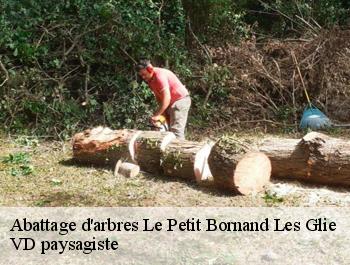 Abattage d'arbres  le-petit-bornand-les-glie-74130 VD paysagiste