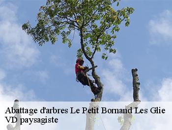 Abattage d'arbres  74130