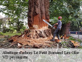 Abattage d'arbres  74130