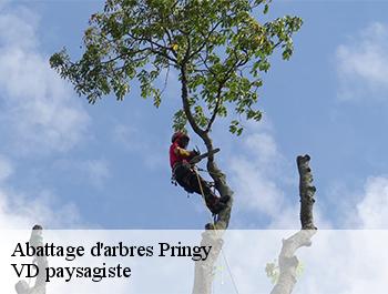 Abattage d'arbres  74370