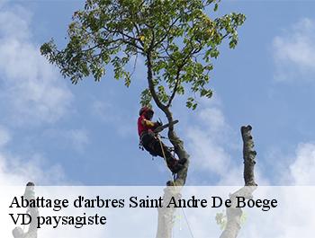 Abattage d'arbres  74420