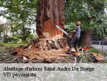 Abattage d'arbres  74420