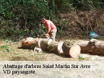 Abattage d'arbres saint-martin-sur-avre-74700 VD paysagiste