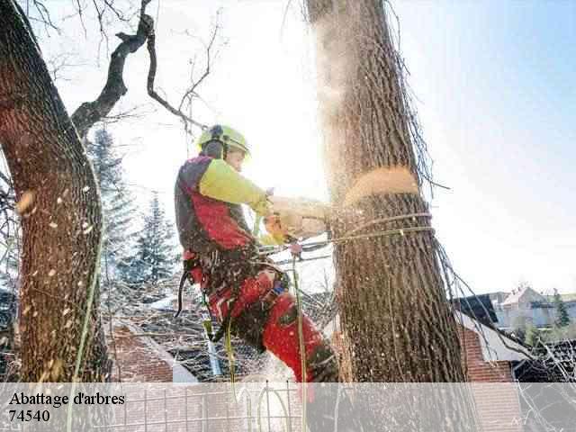Abattage d'arbres 74540