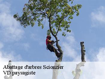 Abattage d'arbres  74950