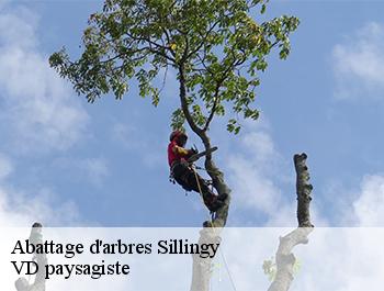Abattage d'arbres  74330
