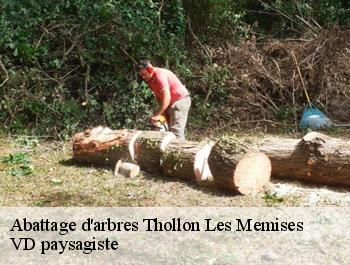Abattage d'arbres thollon-les-memises-74500 VD paysagiste