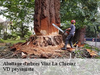 Abattage d'arbres  74540