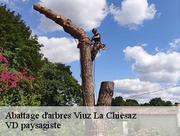 Abattage d'arbres