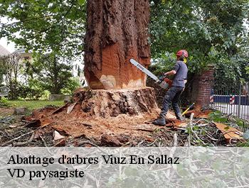 Abattage d'arbres  74250