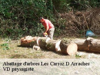 Abattage d'arbres les-carroz-d-arraches-74300 VD paysagiste