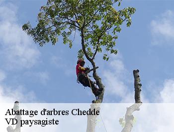 Abattage d'arbres  74190