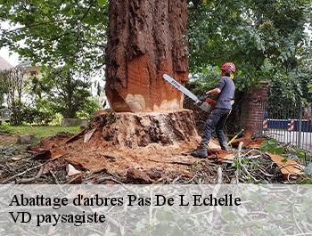 Abattage d'arbres 74100