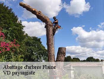 Abattage d'arbres