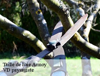 Taille de haie  74200