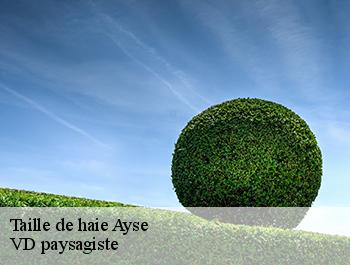 Taille de haie