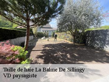 Taille de haie la-balme-de-sillingy-74330 VD paysagiste
