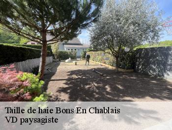 Taille de haie  bons-en-chablais-74890 VD paysagiste