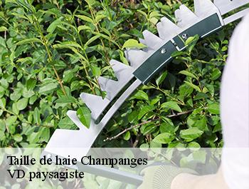 Taille de haie  74500