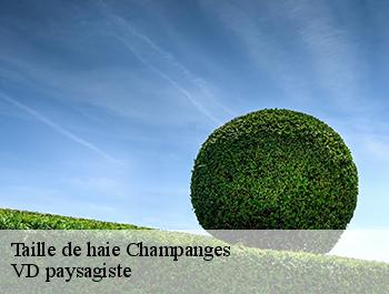 Taille de haie