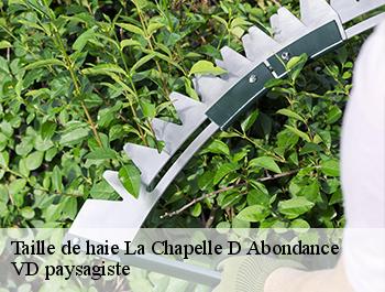 Taille de haie  74360