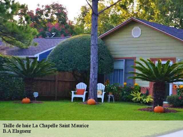 Taille de haie la-chapelle-saint-maurice-74410 B.A Elagueur