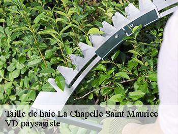 Taille de haie  74410