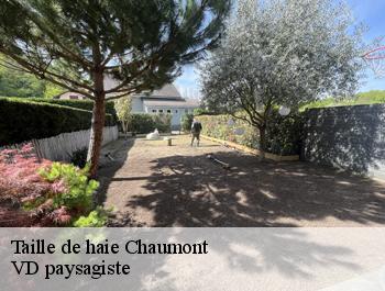 Taille de haie  chaumont-74270 VD paysagiste