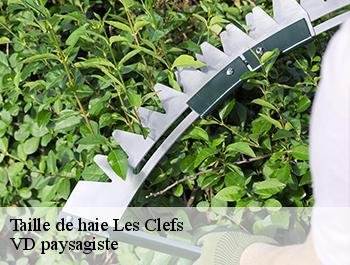 Taille de haie 74230