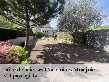 Taille de haie  les-contamines-montjoie-74170 VD paysagiste