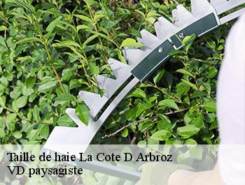 Taille de haie 74110