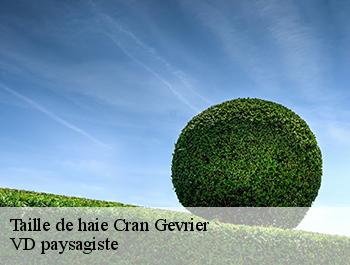 Taille de haie