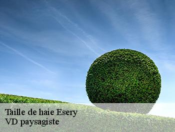 Taille de haie