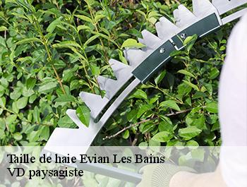 Taille de haie  74500