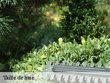 Taille de haie  74570