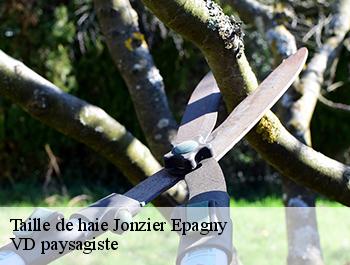 Taille de haie  74520