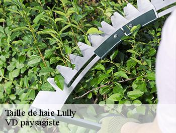 Taille de haie  74890
