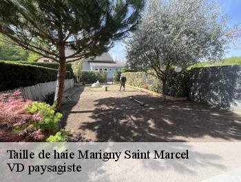 Taille de haie  marigny-saint-marcel-74150 VD paysagiste