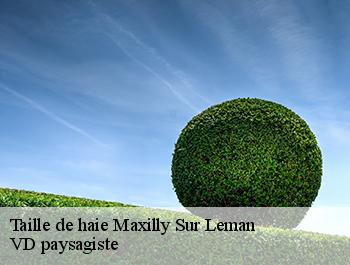 Taille de haie