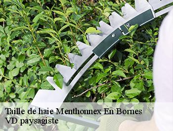 Taille de haie  74350