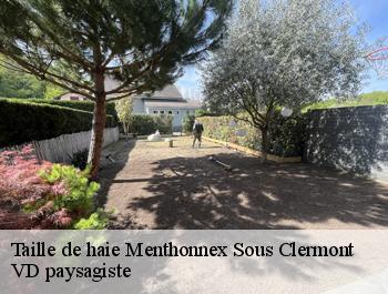Taille de haie  menthonnex-sous-clermont-74270 VD paysagiste
