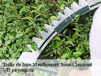 Taille de haie  74270
