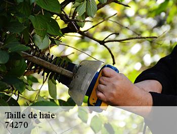 Taille de haie