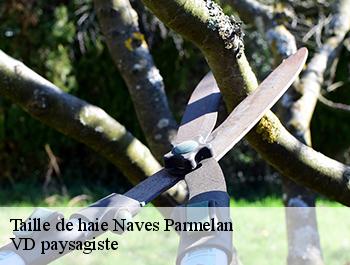 Taille de haie  74370