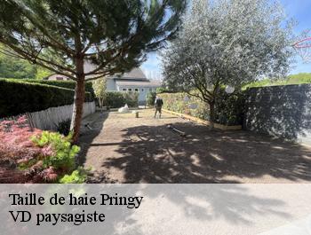 Taille de haie pringy-74370 VD paysagiste