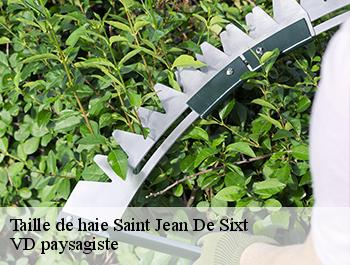 Taille de haie  74450